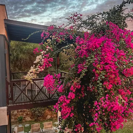 Serenity In Designer Вилла *