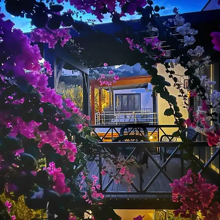 Serenity In Designer Вилла Бодрум