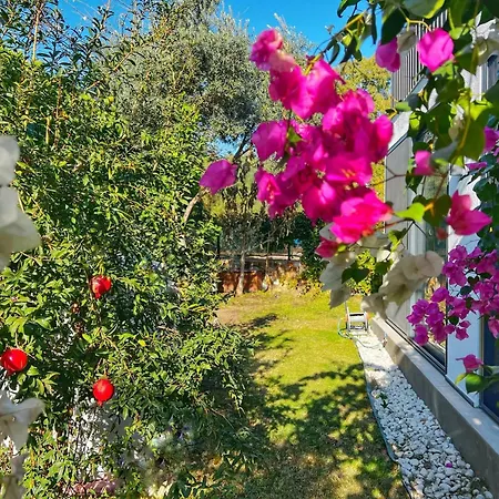 Serenity In Designer Вилла Бодрум